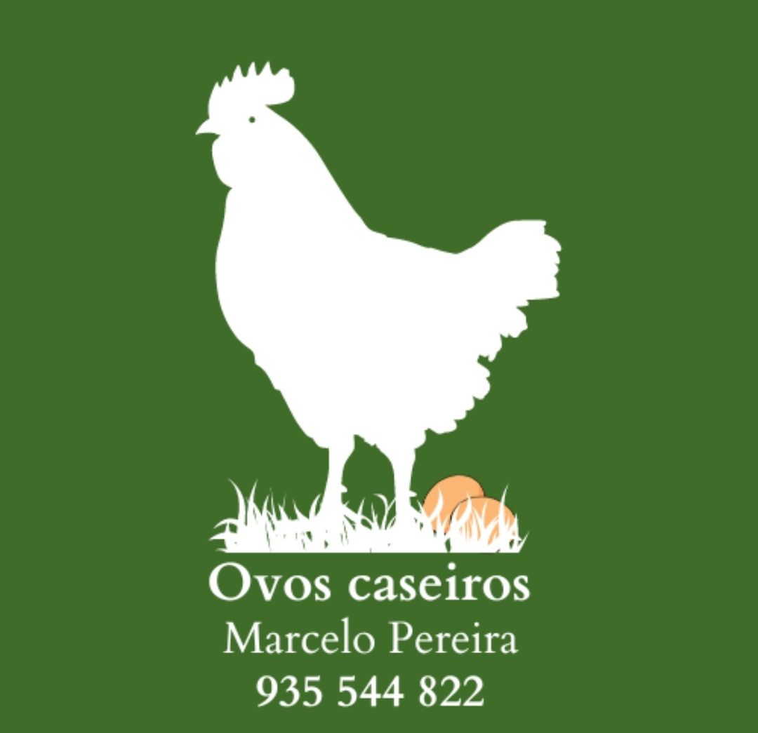 Ovos biológicos caseiros