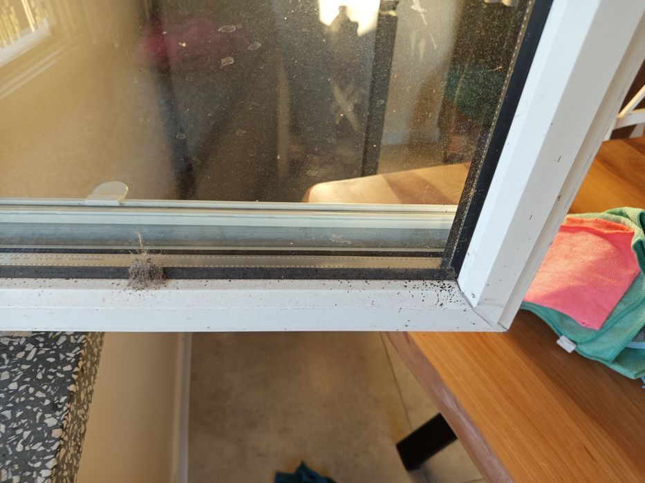 Usługi sprzątające