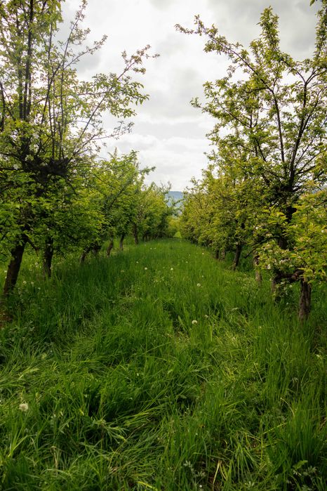 Szczyrzyc Janowice - działka rolno-leśna z potencjałem budowlanym