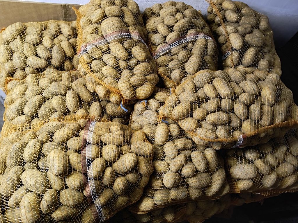 Sprzedam ziemniaki