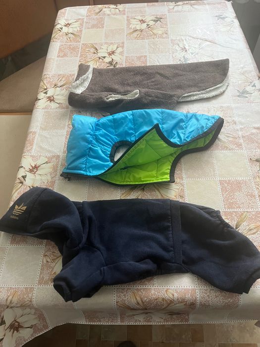 Одежда для маленькой собачки