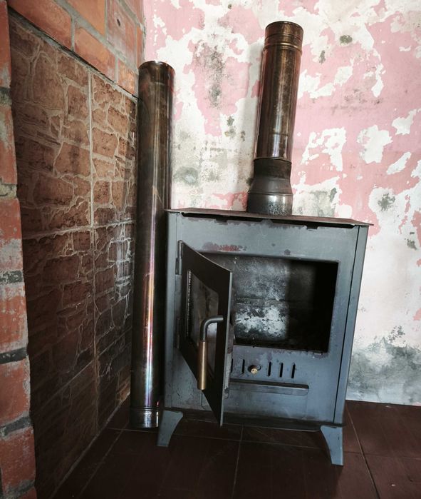 Salamandra em estado razoavél