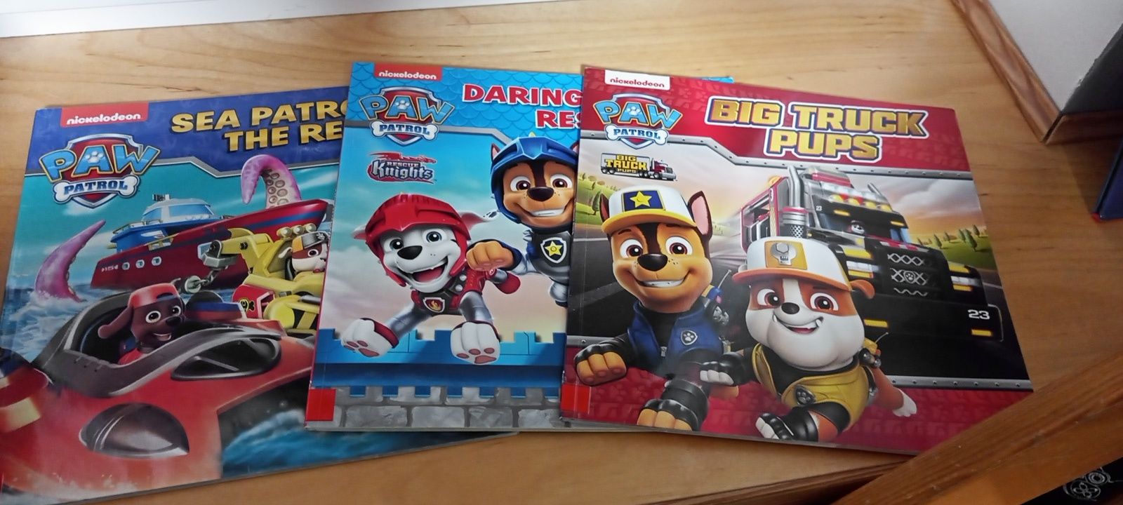 Psi patrol po angielsku