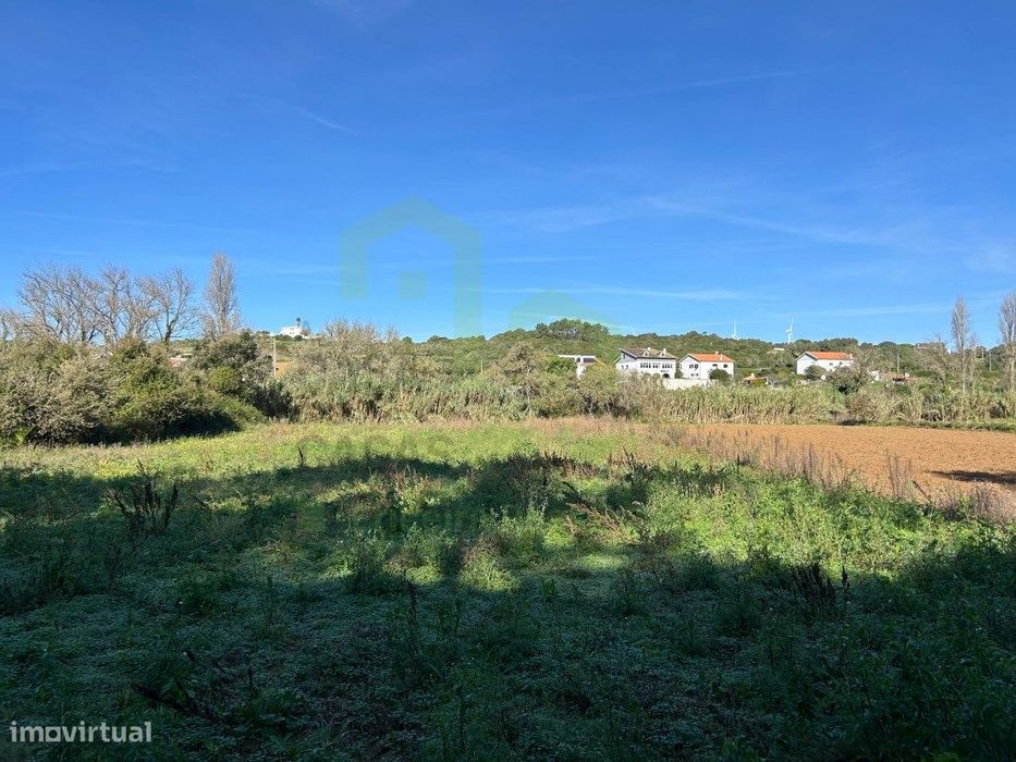 Vende Terreno - Ericeira, A Casa das Casas