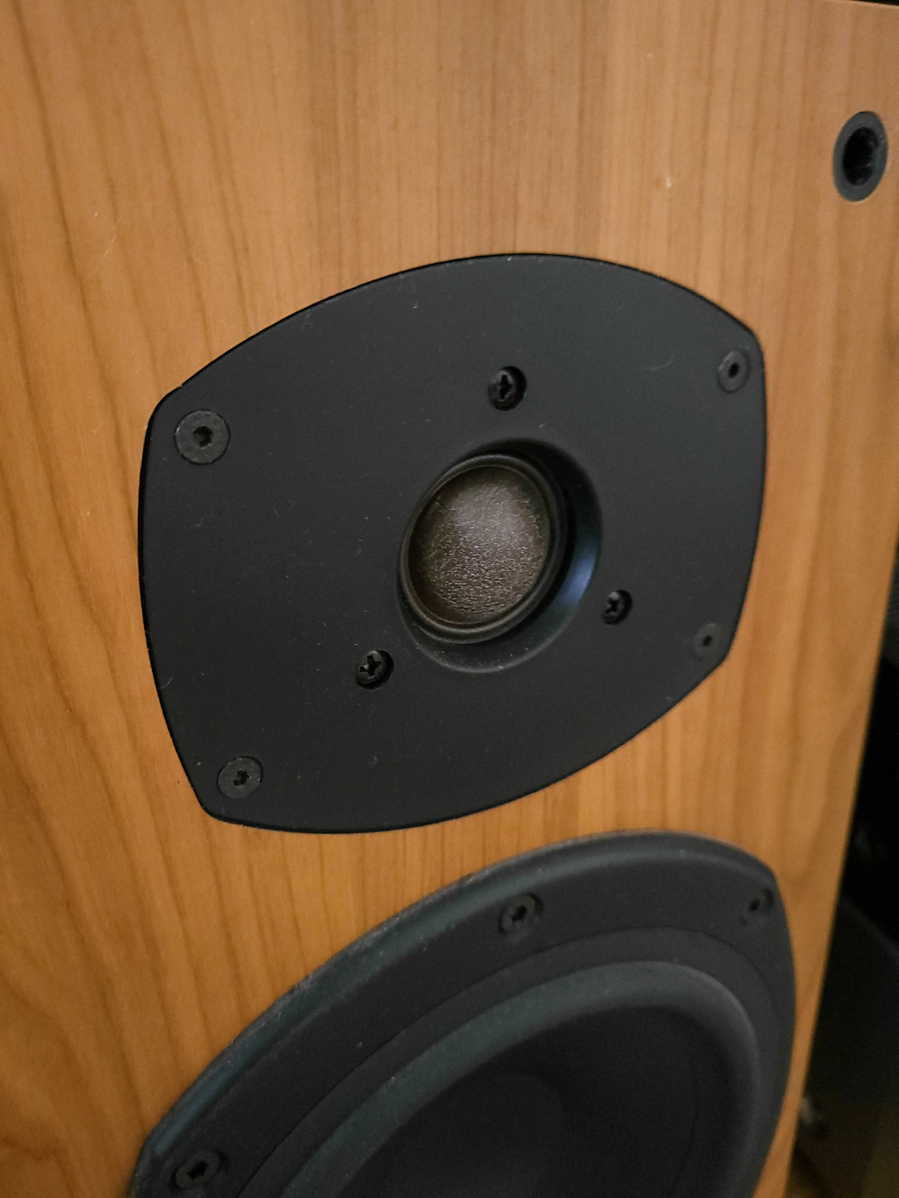 Monitory podstawkowe Tannoy M2