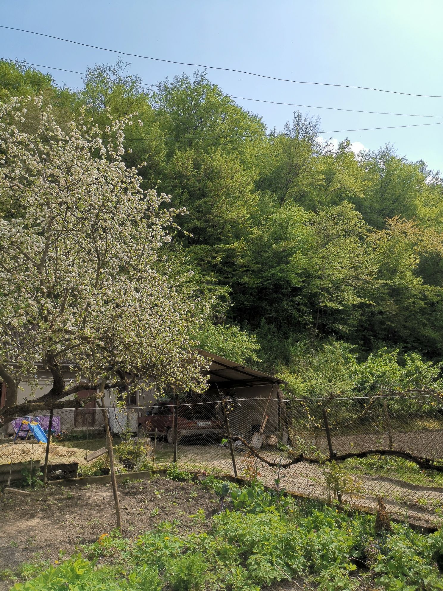 Продається будинок, господарство, дача