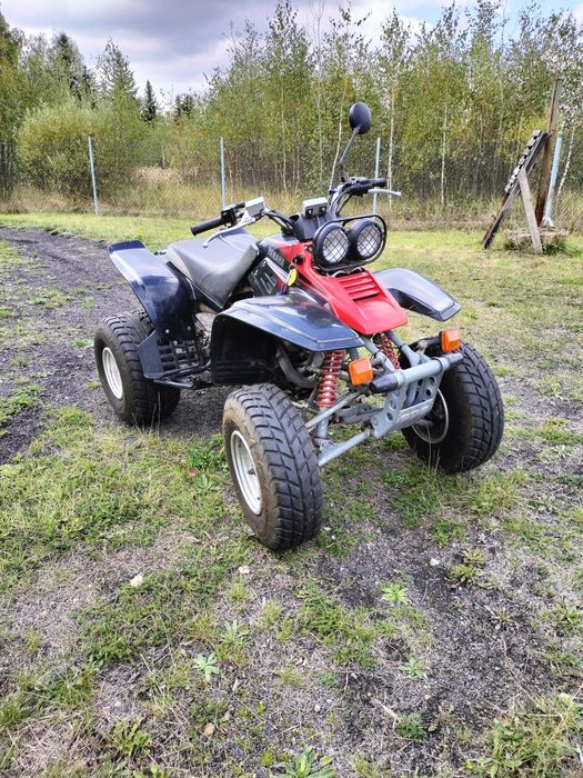 Yamaha Warrior 350 Jak Barossa 250 MXU 300