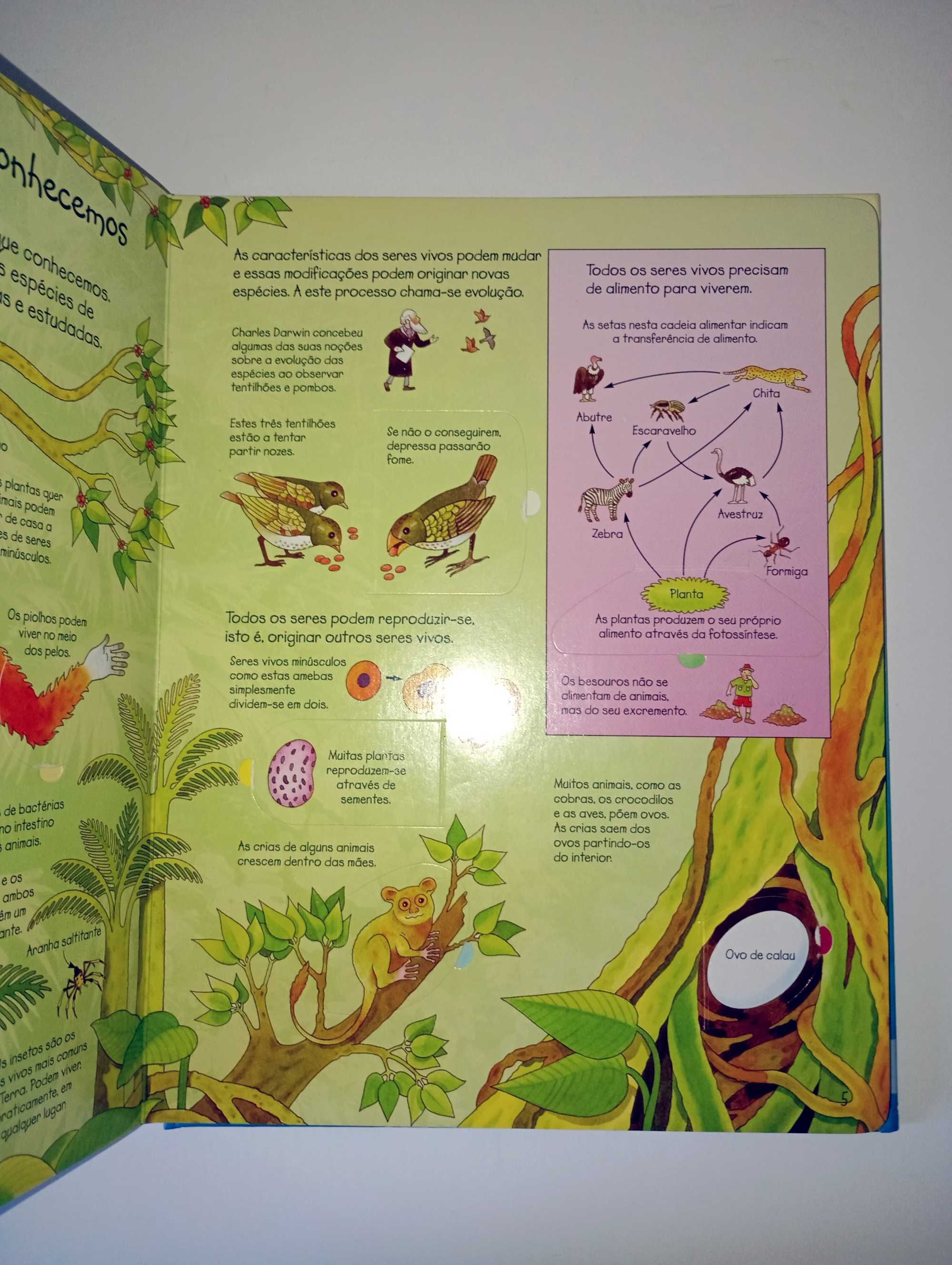 Espreita a Ciência