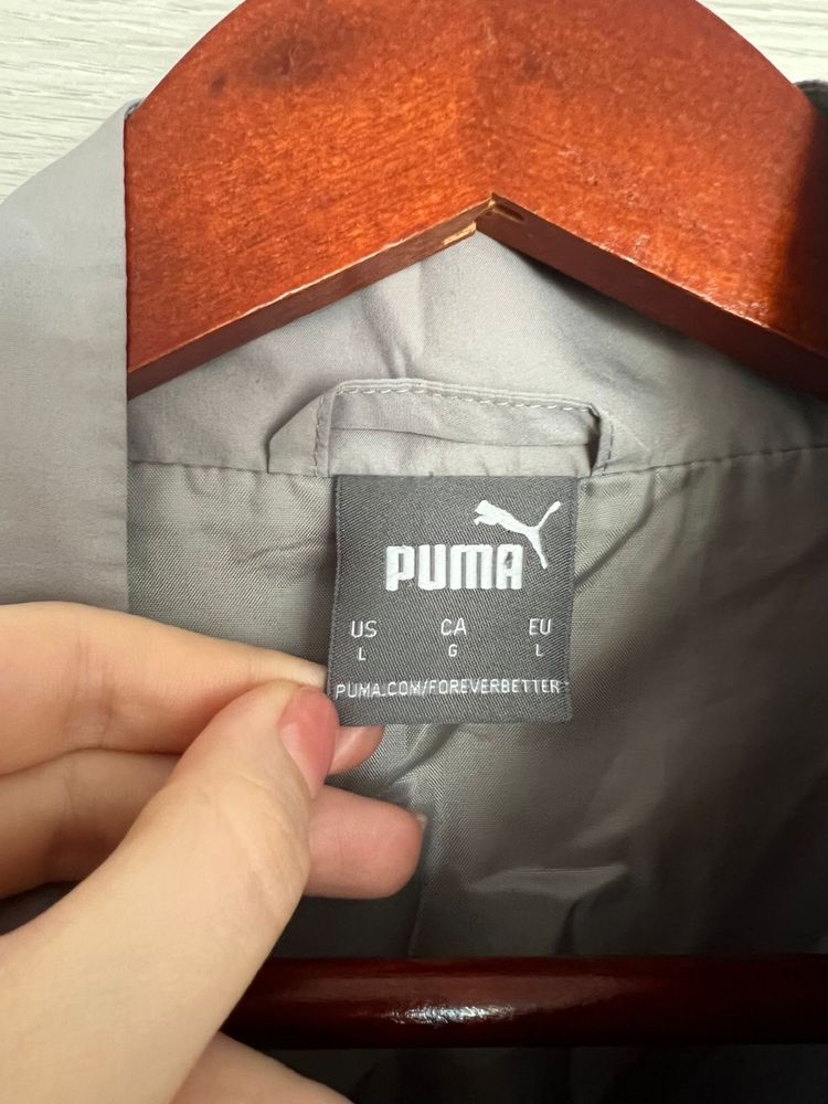 Оригінальна Вітровка Puma L