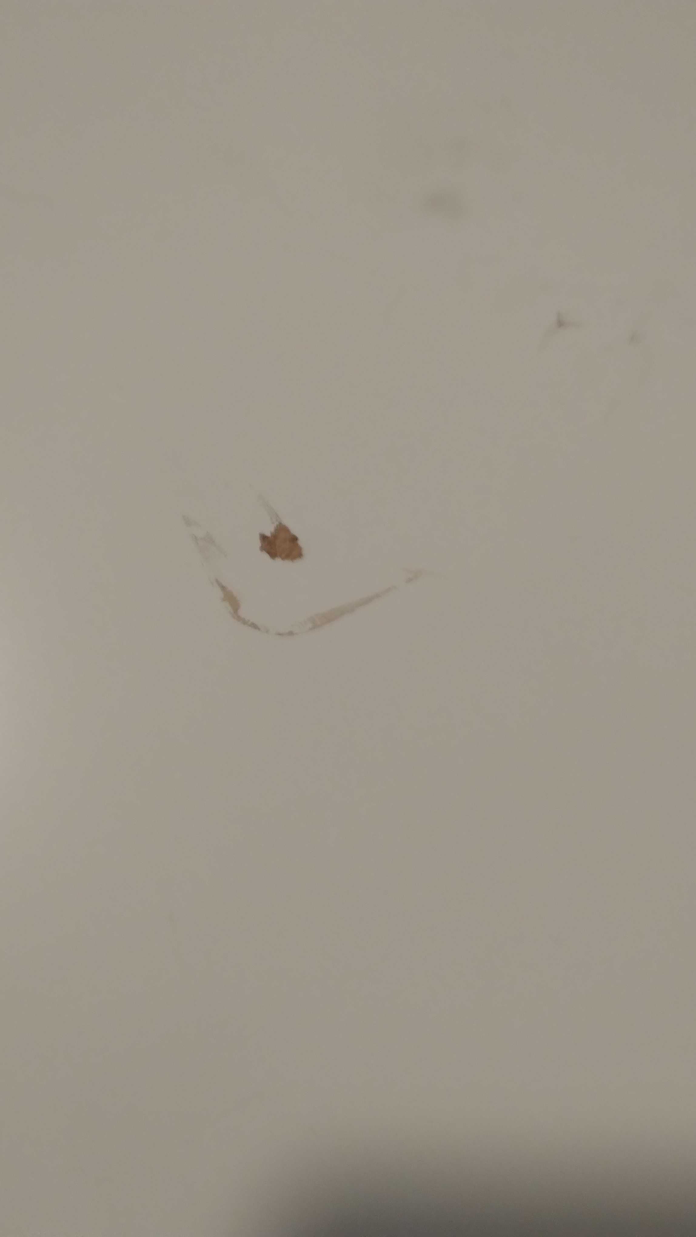 blat od stołu biały ikea owalny w kształcie jajowatym