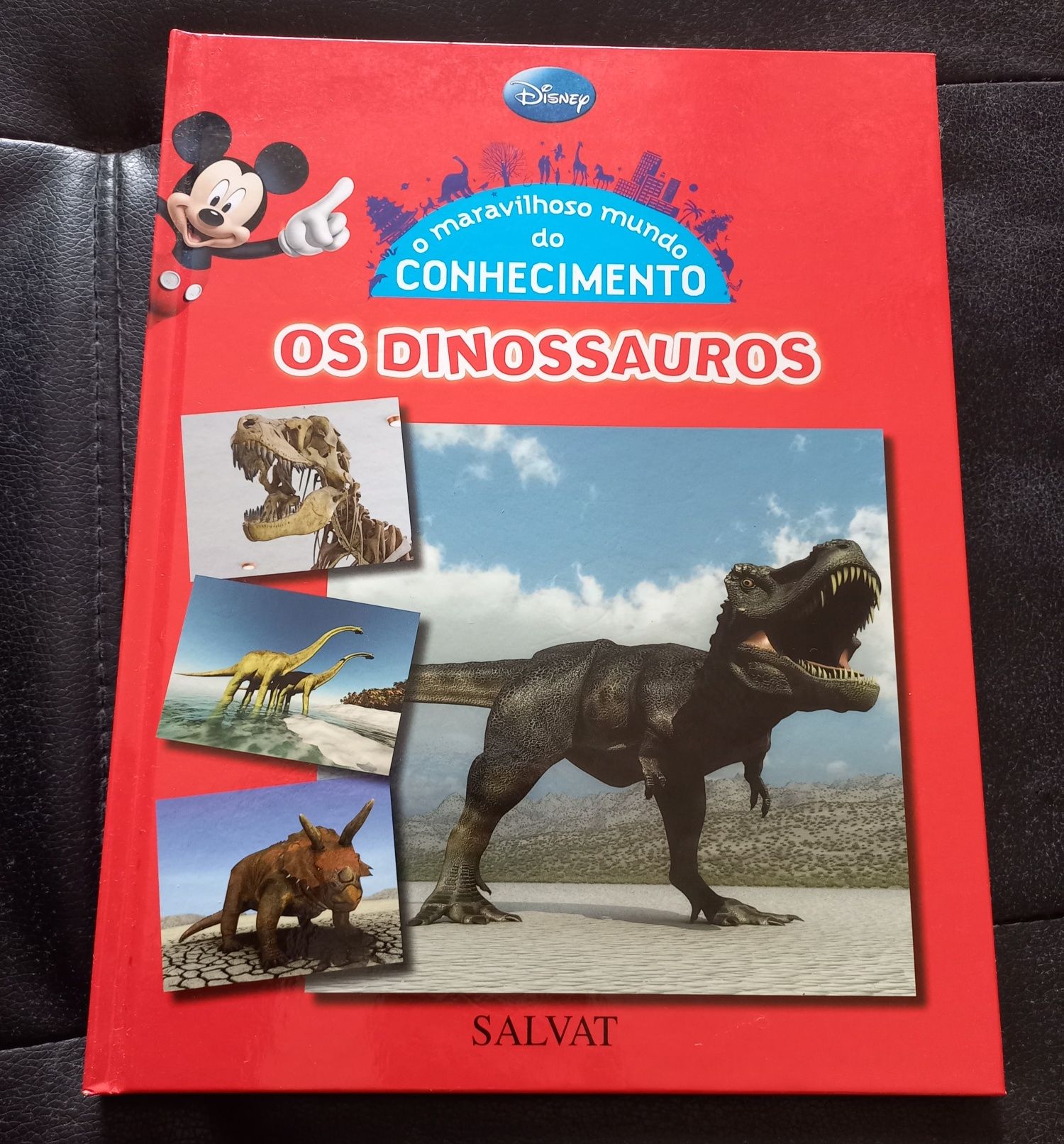 Livro - O maravilhoso mundo do conhecimento, os Dinossauros