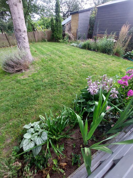 Działka ROD Zlote Piaski Siedlce