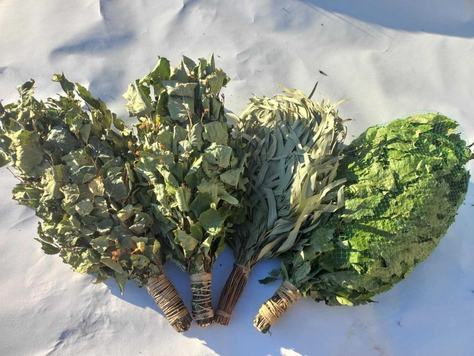 Банні віники дуб ,берёза, липа, хвоя эвкаліпт Трави3/5/65