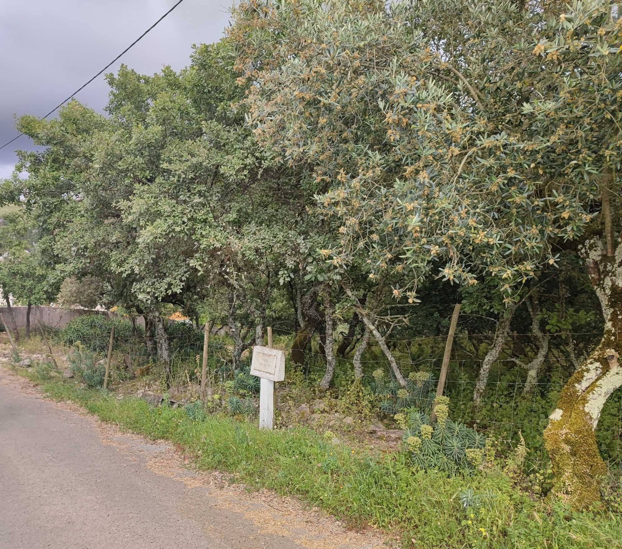 Vende se Terreno Urbanizável - Alqueidão da Serra