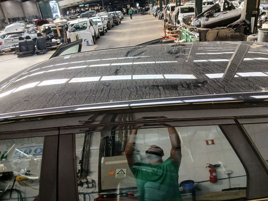 Tejadilho LAND ROVER Range Rover Evoque (L538)