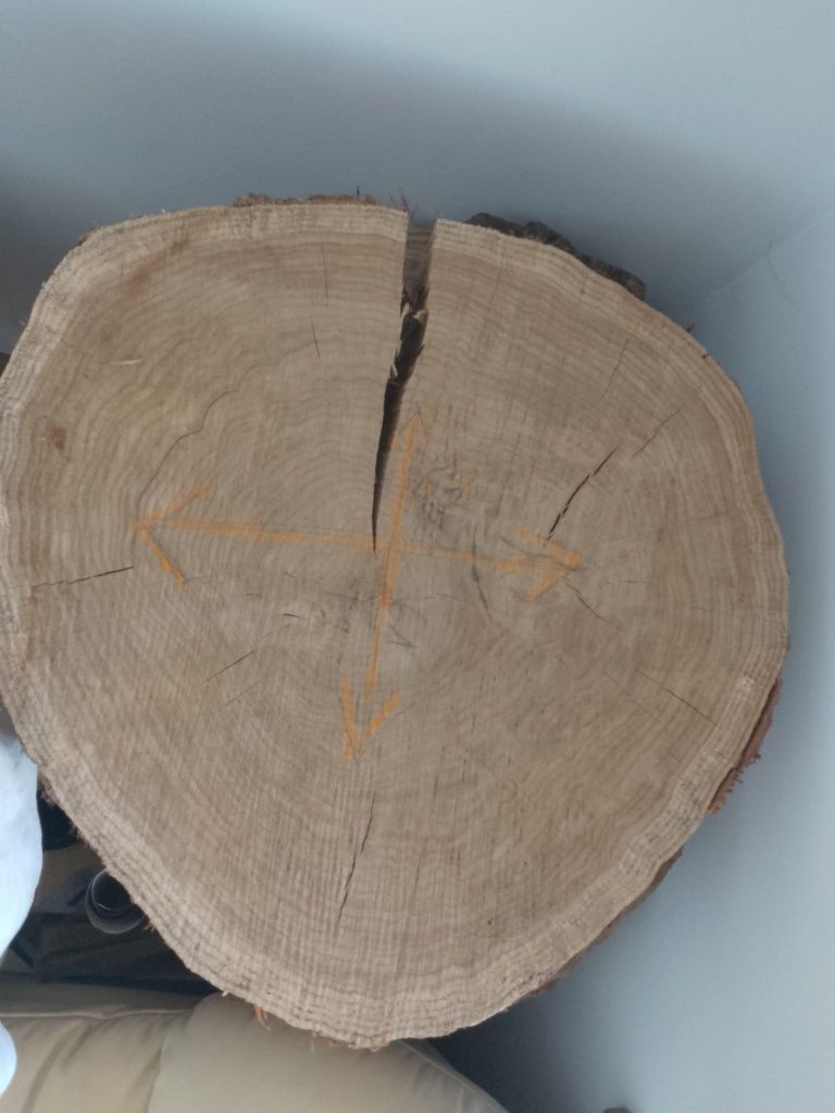 Duży plaster drewna dębowego