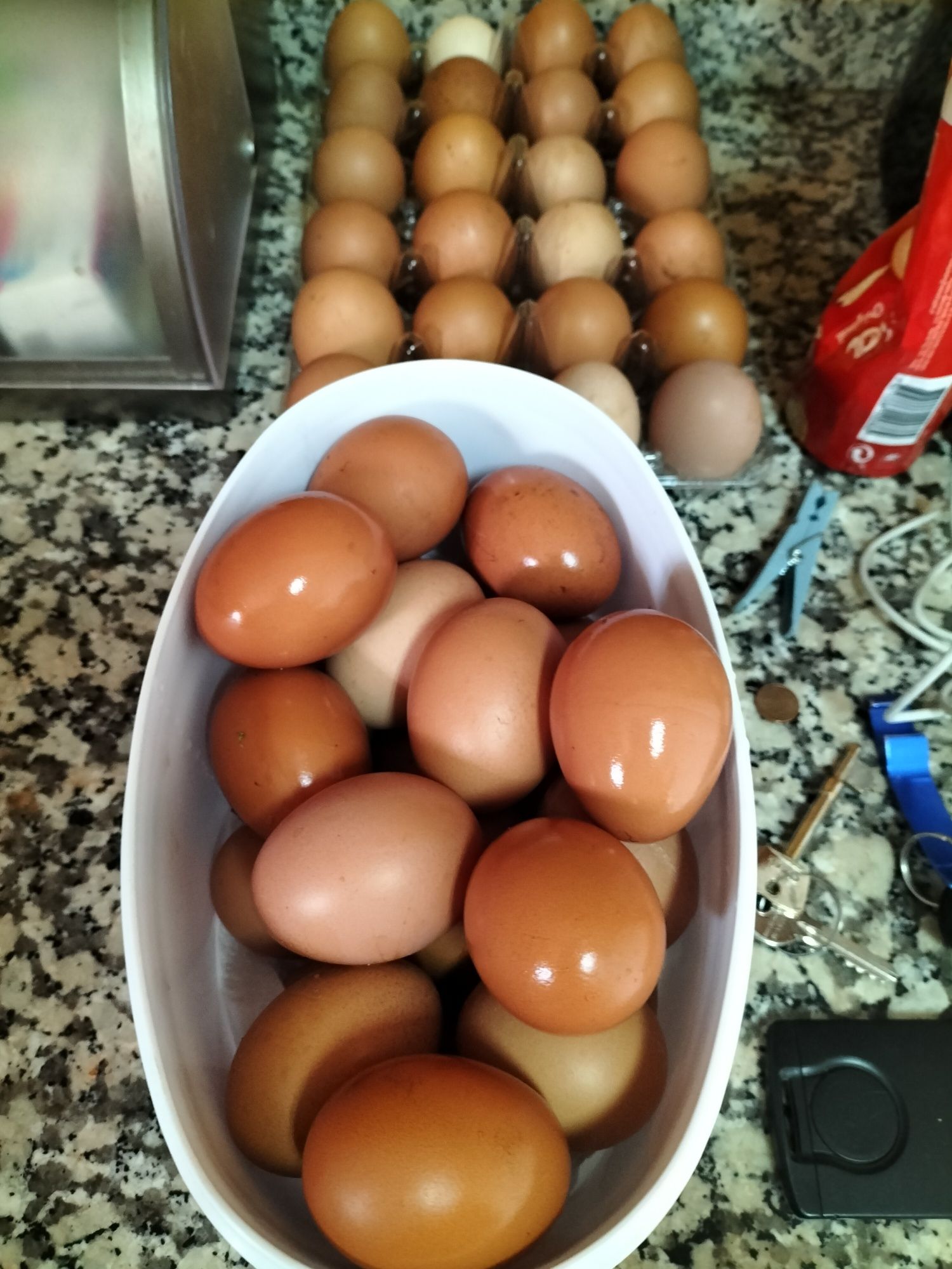 Ovos caseiros  de galinhas de quinta