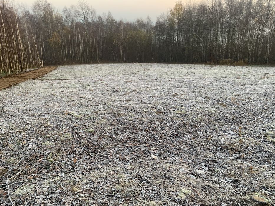 Mulczer leśny wgłębny powierzchniowy mulczowanie wycinka drzew działek