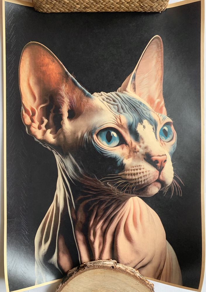 Plakat Kot Sphynx