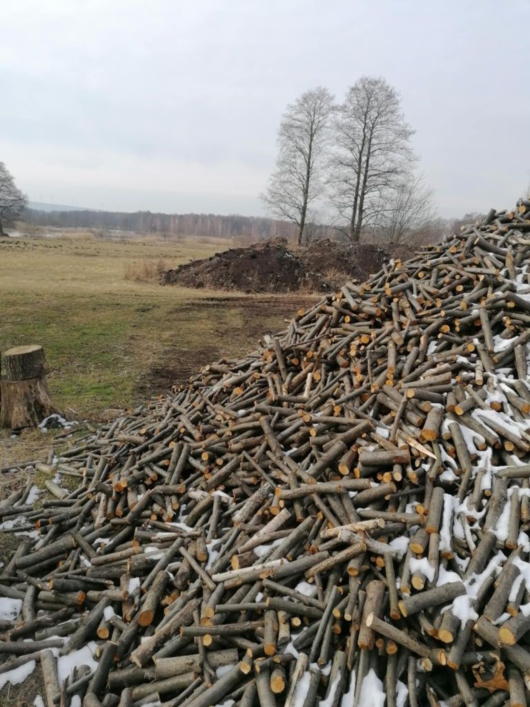 Drzewo opałowe pocięte średnica od 3 do 12 cm . 100 zł metr sześcienny