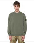 Світшот Stone Island 66060 Logo Sweatshirt Green