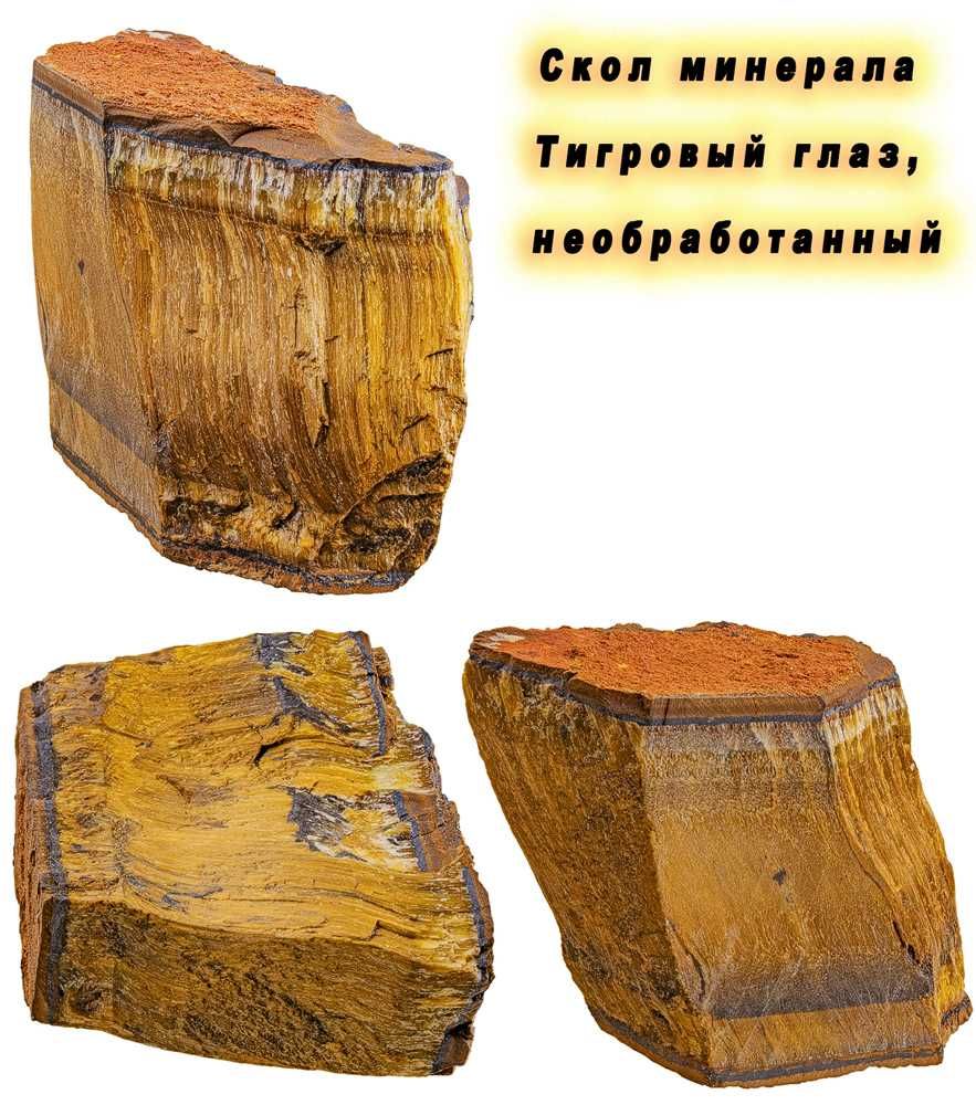 Древние окаменелости, друзы, жеоды для коллекционеров