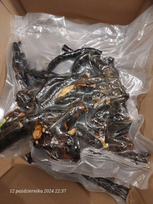 Żywokost korzeń ( Symphytum officinale ) świeży 1 kg