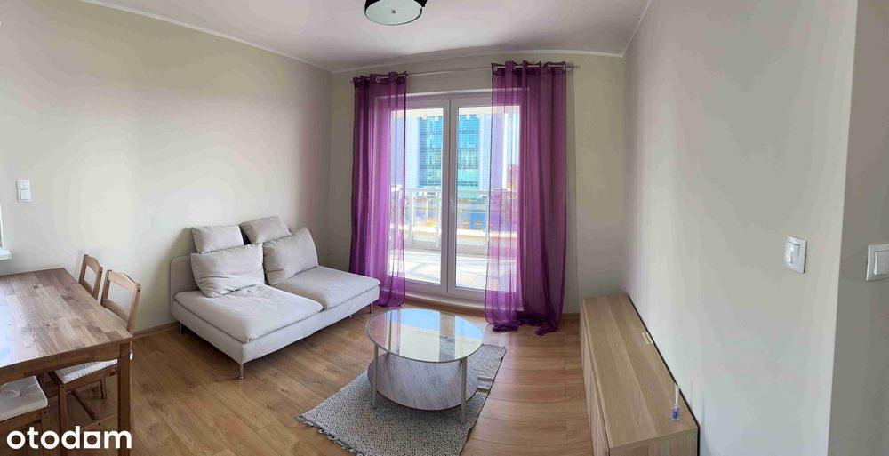 Bardzo ładne mieszkanie do wynajęcia