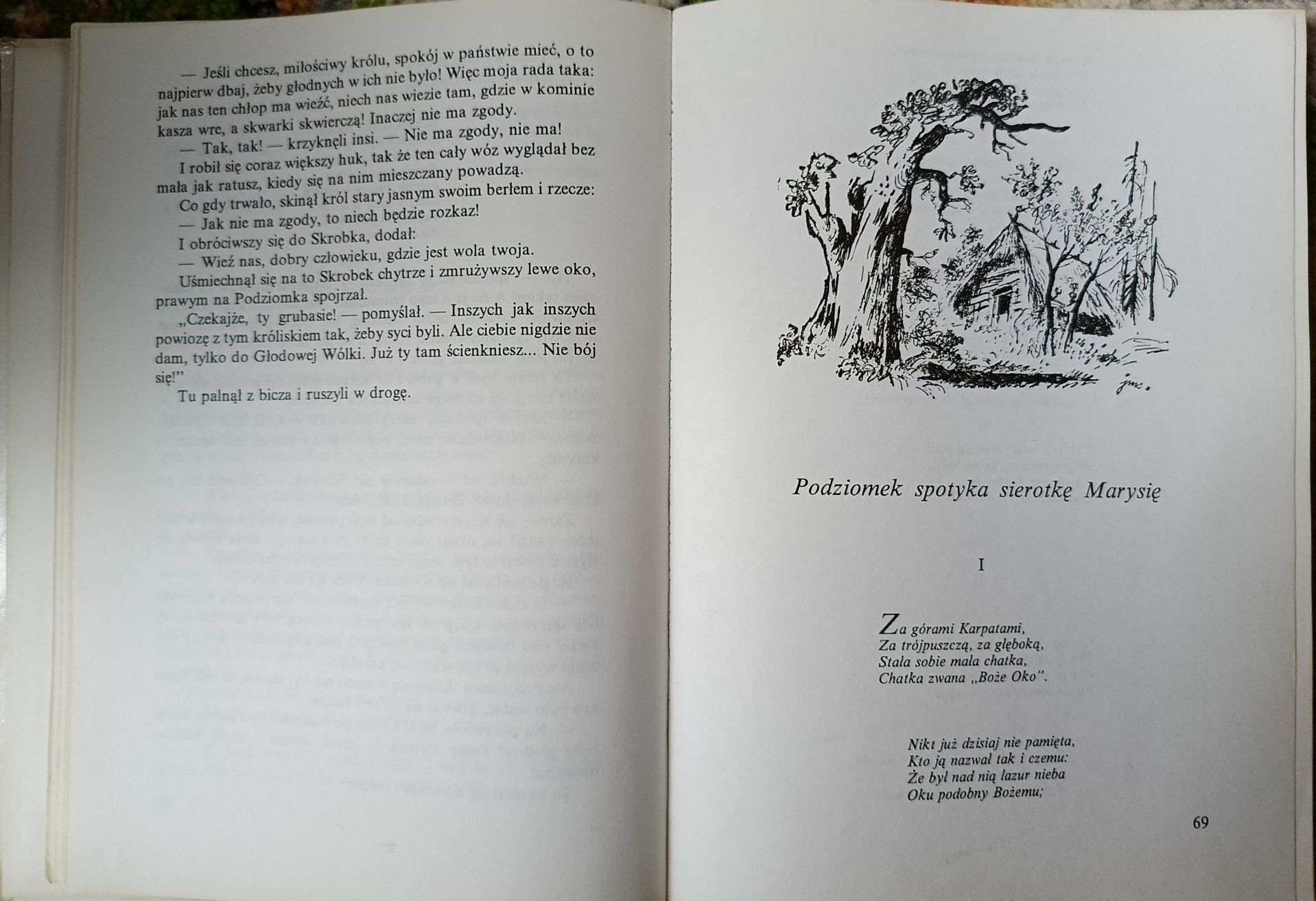 O Krasnoludkach I O Sierotce Marysi "Maria Konopnicka