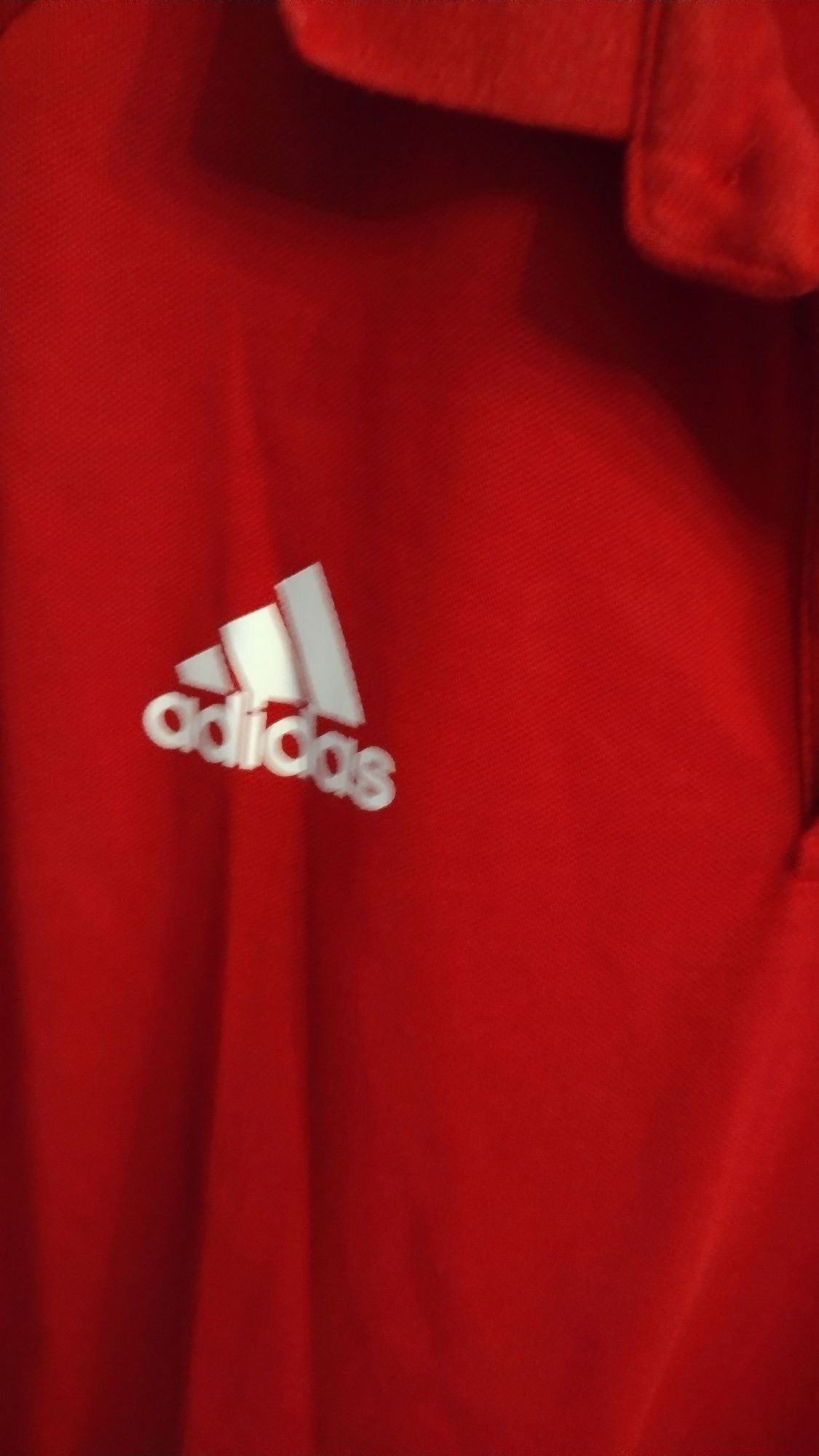 Koszulka męska polo Ajax Amsterdam Adidas