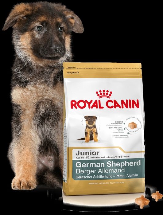 Karma dla psa Royal Canin Owczarek Niemiecki Junior 12kg