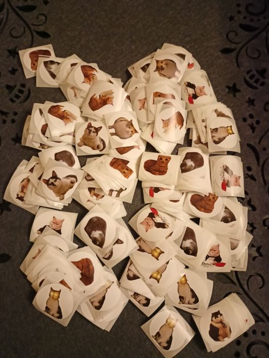 Naklejki koty, kotki