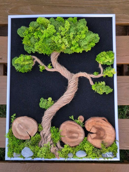 Obraz Kompozycja Mech Dekoracja Długowieczne Dom Prezent