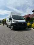 Sprzedam opla movano  64 tys