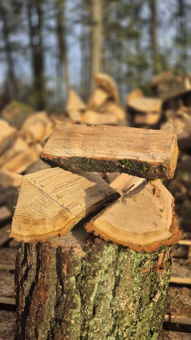 Drewno kominkowe opałowe liściaste dąb