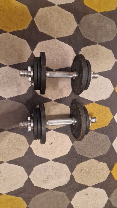 Halteres 20kg conjunto