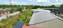 wynajmę hale 380 m2 brama wjazdowa 3x3 m + dodatkowo działka 730m2