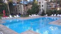 Apartament nad morzem  do wynajęcia