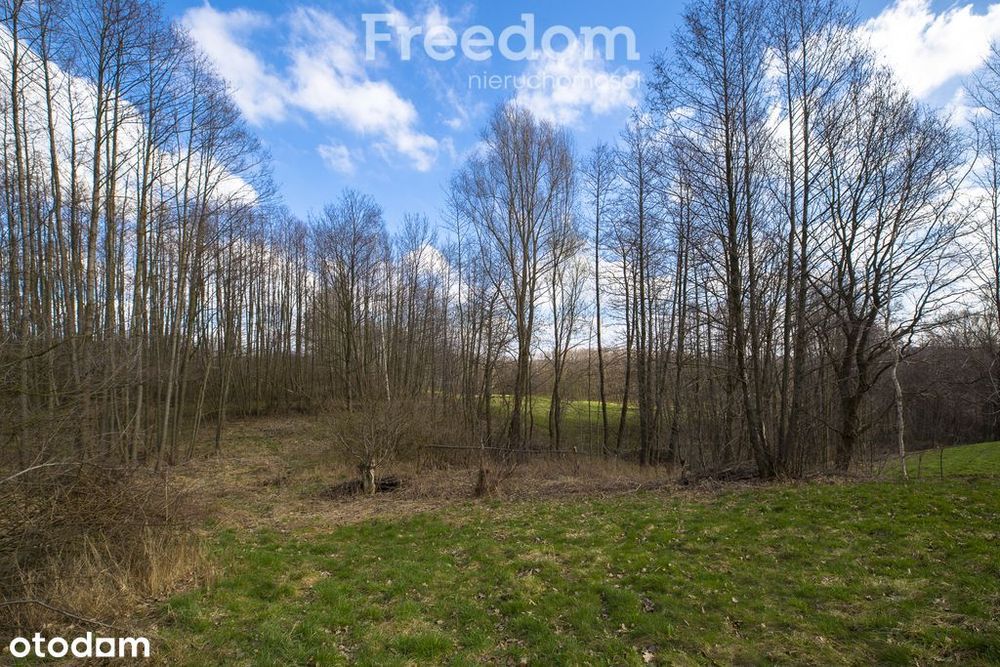 Działka rekreacyjna Lubenia, widokowe położenie