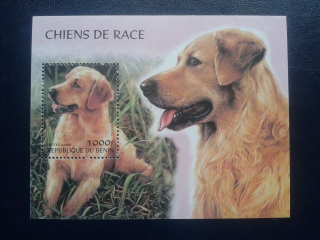 Znaczki pocztowe - Benin-psy