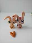 Pet shopy króliczki
