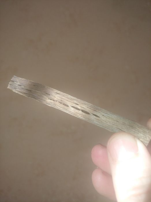 дубова щепа підготовлена для приготування конь'яків, віски, борбонів