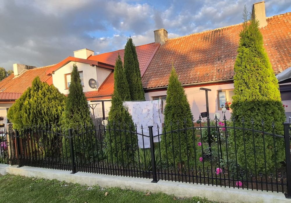 Sprzedam Tuje Ładne Duże