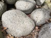 Kamień otoczek granitowy skalniak ozdobny