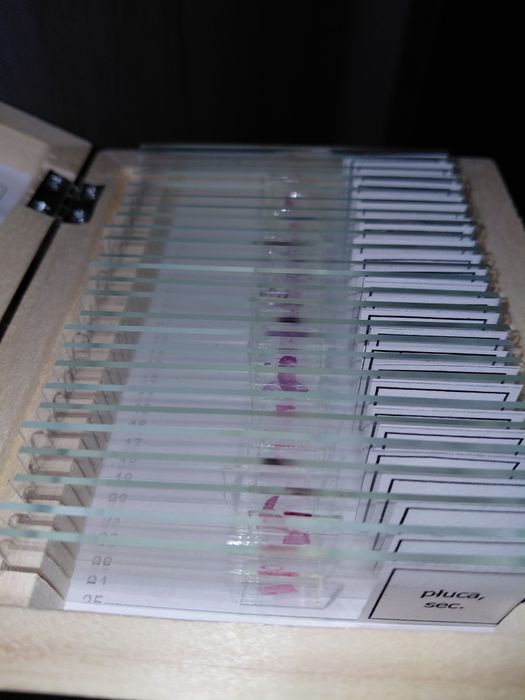 Anatomia preparaty mikroskopowe 25 sztuk nowe