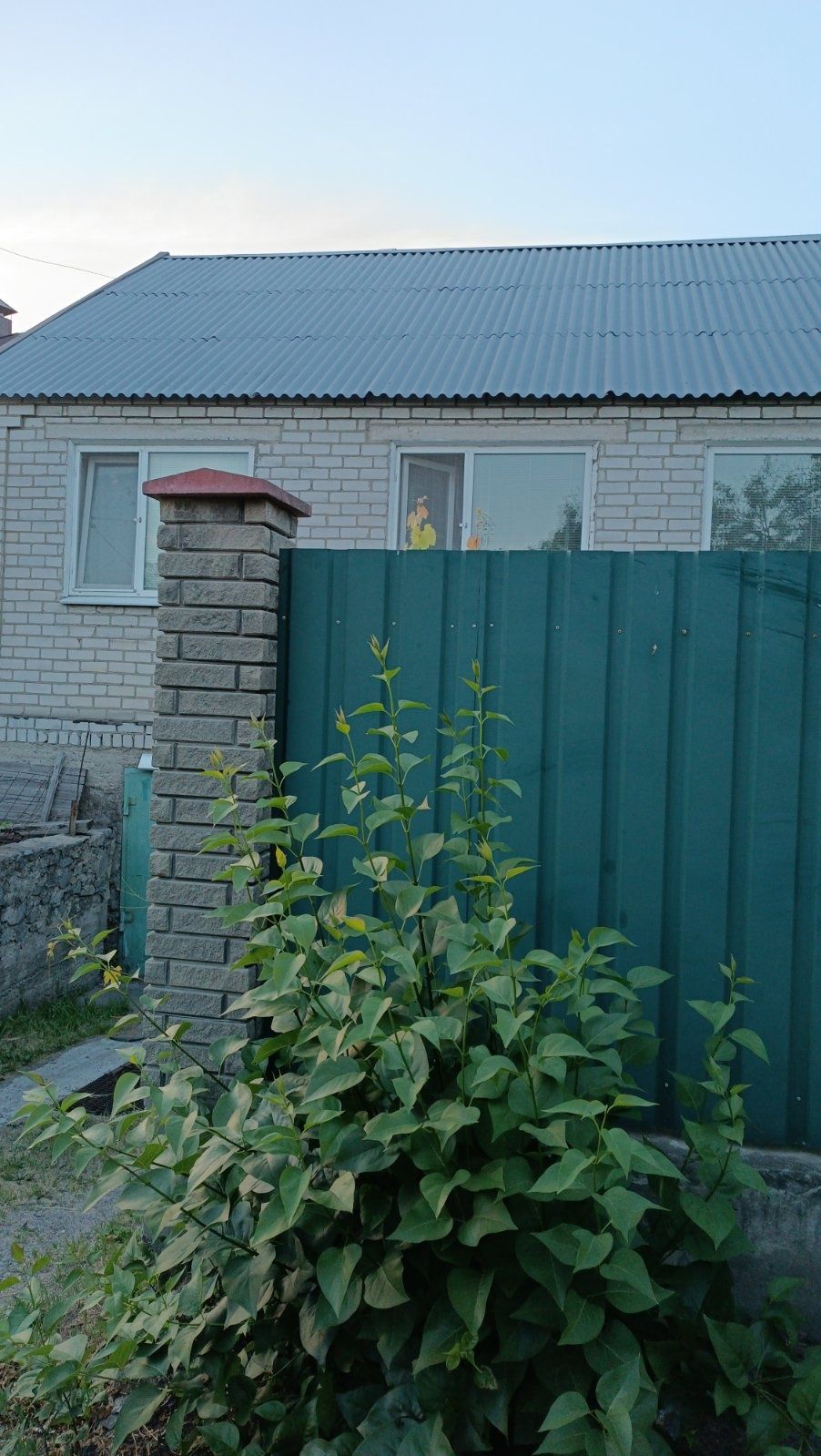Покраска крыш и чистка .
