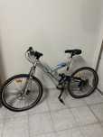 Bicicleta Quantum