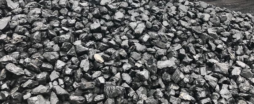 ekogroszek sobianek lew, bartex gold,goldberg .DOSTAWA 24h