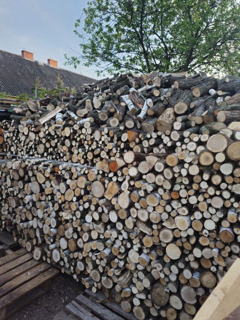 Drzewo liściaste .Opał.