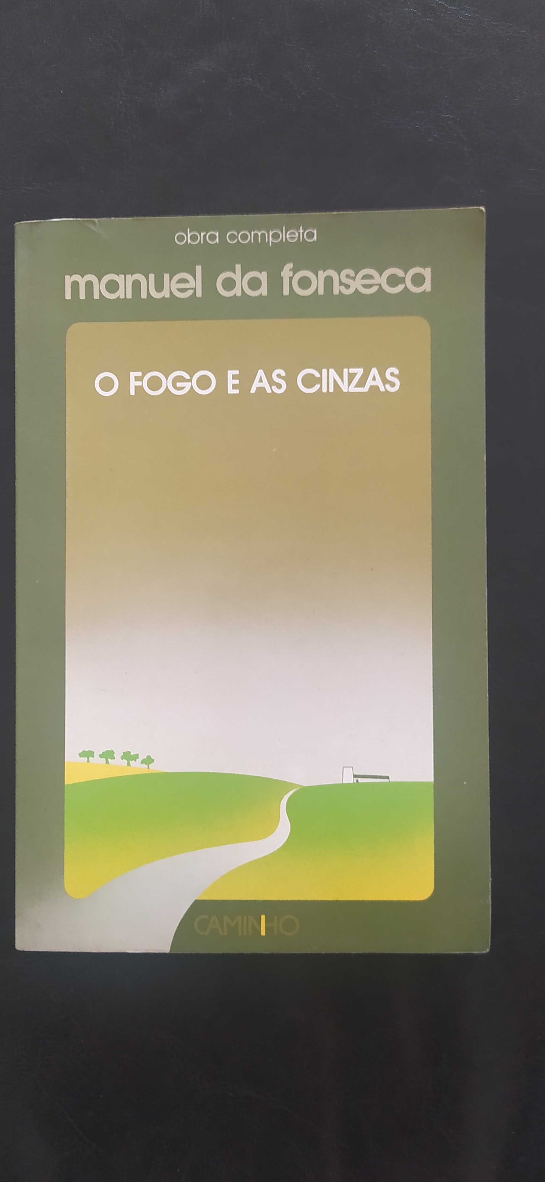 Livro: "O Fogo e as Cinzas"